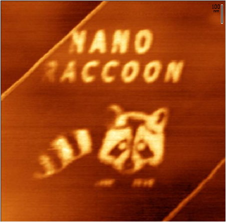Nano Raccoon